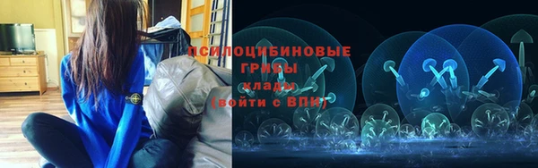 эйфоретик Беломорск