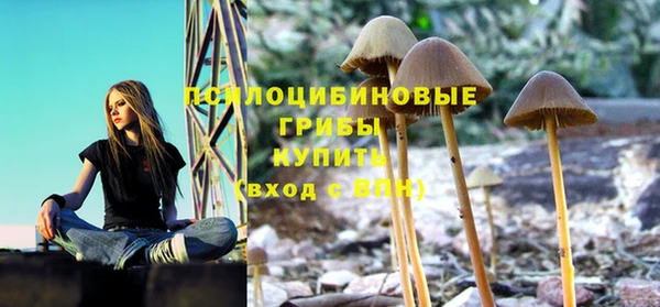 эйфоретик Беломорск