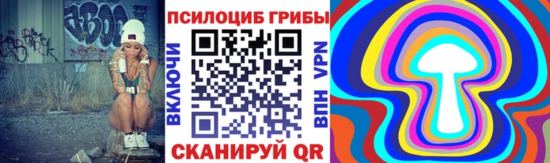 mega зеркало  Пионерский  Псилоцибиновые грибы ЛСД 
